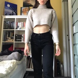 Aritzia Wilfred Cropped Sweater
